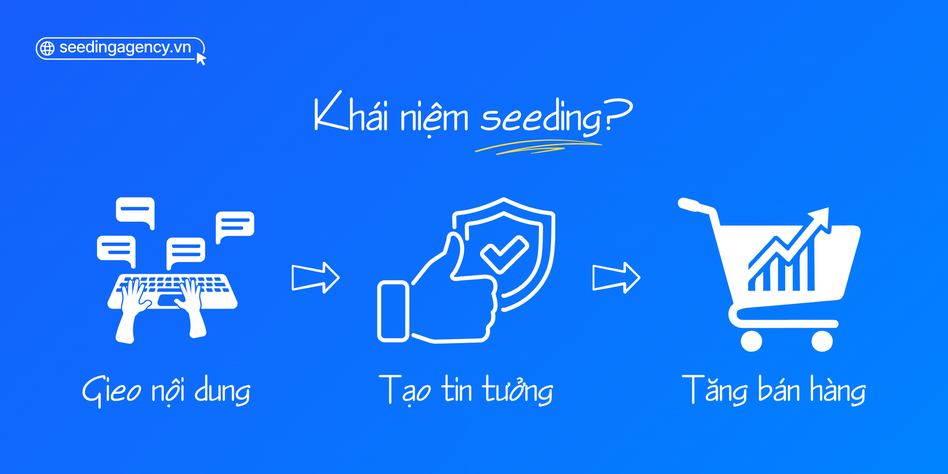 khai-niem-seeding-marketing-seeding-agency